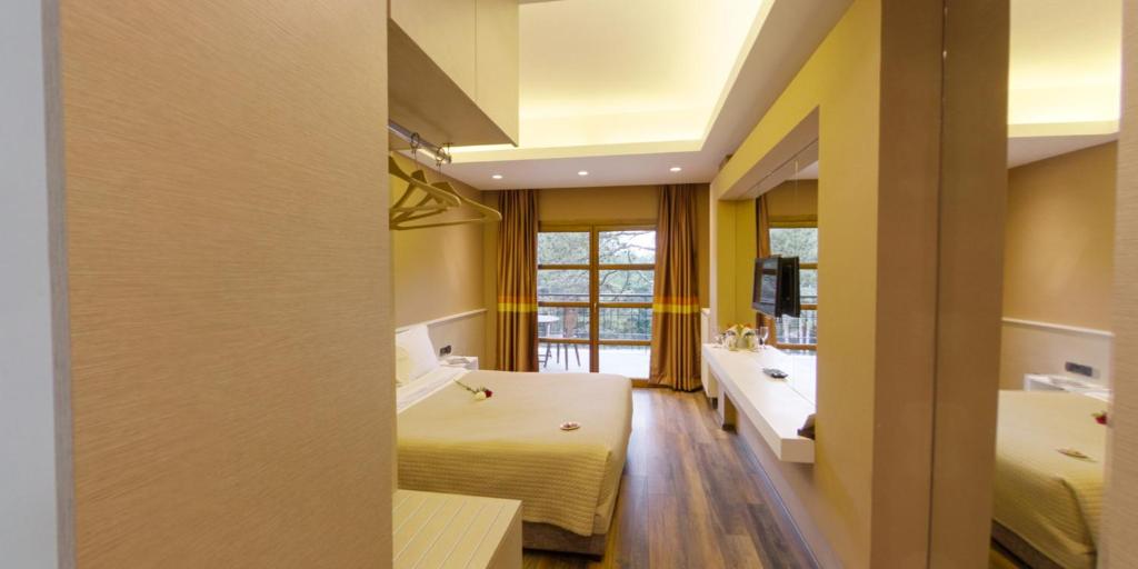 Comfort Double Room with Mountain View