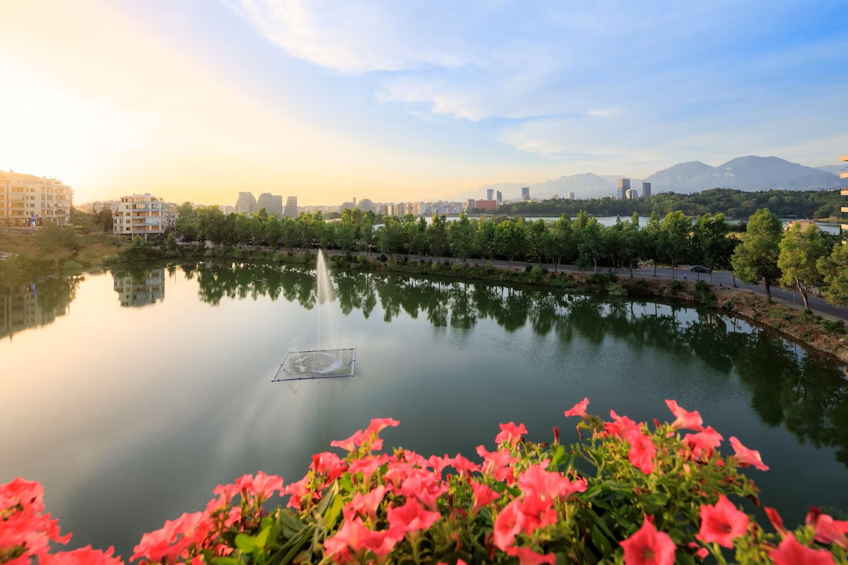 Suite - Lake View